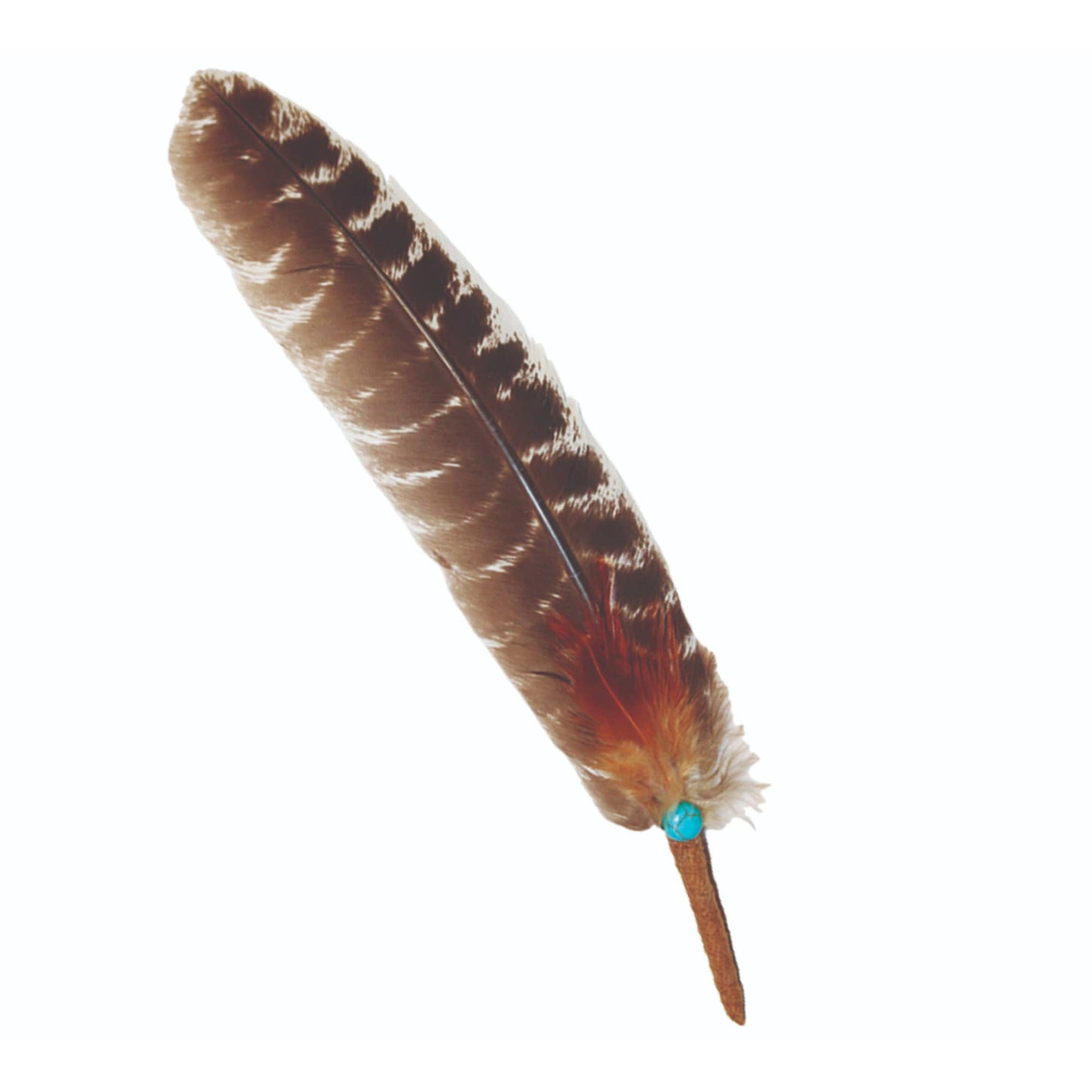 Zenn Smudge Feather With Turquoise Bead (10``-12``)-059