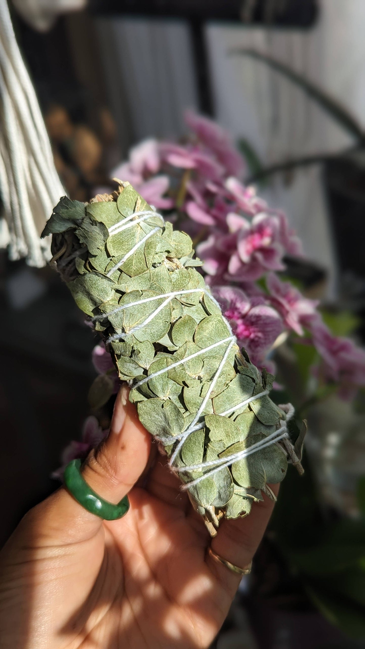 White Sage & Eucalyptus